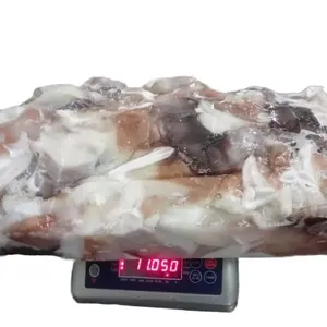 500G+ Squid Neck Frozen Squid Necks Calamari Squid Neck