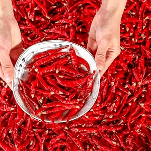 Peperoncino Rosso Secco Premium Intero ad Alta Gradazione di Piccantezza (SHU) per l'Industria Alimentare, Vendita all'Ingrosso - Product Image 6