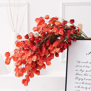 Fleurs artificielles en soie de groseille à la française en gros avec longue tige et feuilles pour la décoration de mariage, la fête des pères et Pâques - Product Image 4