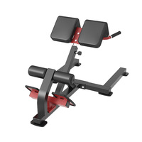 Équipement de gymnastique à domicile professionnel nouveau Design Extension du dos banc et support en métal de fitness commercial musculation utiliser la salle de sport à la maison