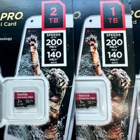 Carte mémoire SanDisk TF/SD en gros, carte de stockage pour caméra 4K, classe 10 U3 A1 256 Go, utilisée pour caméra/enregistreur vidéo/caméra de sécurité