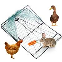 Filets anti-oiseaux 50x60cm, Pièges humains pour l'attrapement vivant de passagers, pigeons, cailles, Cage de capture d'oiseaux de taille standard