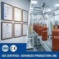 Gas Propano Inflamable UN1978 Clase 2.1 C3H8 en Cilindros de Acero Especializados con COA y SDS Completos