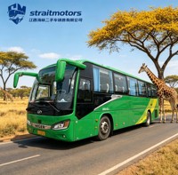 Autobús Seminuevo LHD Hi-ger KLQ6111YAE61 2023 Euro 6 Weichai 300HP 48 Plazas, Autobús de Turismo de Lujo en Venta