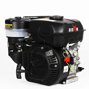 BISON (中国) 洗车泵发动机，带完整套件电启动正向倒档发动机