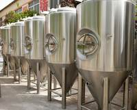 Cuve de fermentation de 500 l en acier inoxydable, fermentateur conique pour la fermentation de la bière