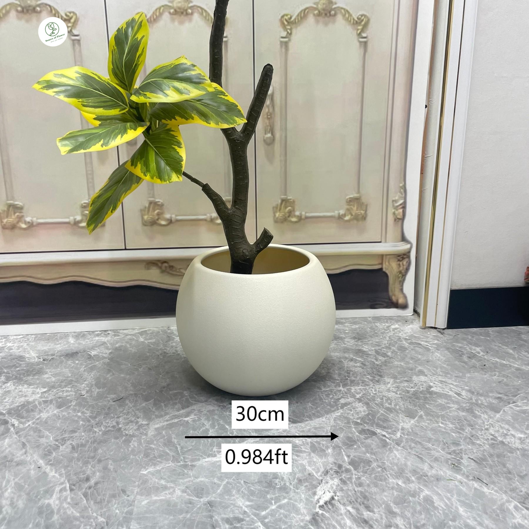 30cm rice white pot