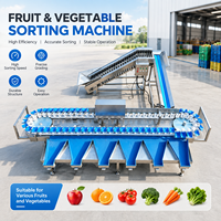 Modulaire doos sorteermachine, eenvoudige montage voor kleine en middelgrote fruit- en groenteverwerkingsbedrijven