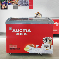 Congélateur commercial pour crème glacée, vente directe d'usine CE, -10~-30 ° Équipement de réfrigération avec porte en verre incurvée C 330L pour magasin