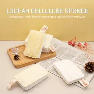 Luffa spugna da cucina polpa di legno biodegradabile cellulosa compostabile naturale libero pianta bianca spugna di cocco cucina Eco 1 pz/borsa