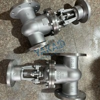 Vanne à opercule en acier inoxydable filetée NPT 316L/304/CF8M/Duplex 1/2"/1"/1-1/2"/2" Classe 800 à tige montante pour vapeur