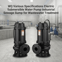Pompe à eau submersible verticale électrique industrielle WQ en acier inoxydable à haute pression pour système d'irrigation
