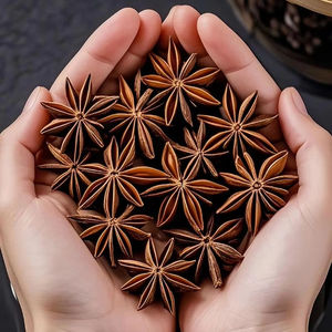 Anís estrellado Sabor a comida Potle caliente Especias Semilla de anís estrellado para condimentar Opot Condimentsg 100 g/bolsa 100g Pieza de cartón de alta calidad - Product Image 1