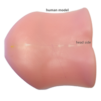Modèle d'enseignement médical pour la simulation d'endoscopie du foramen intervertébral