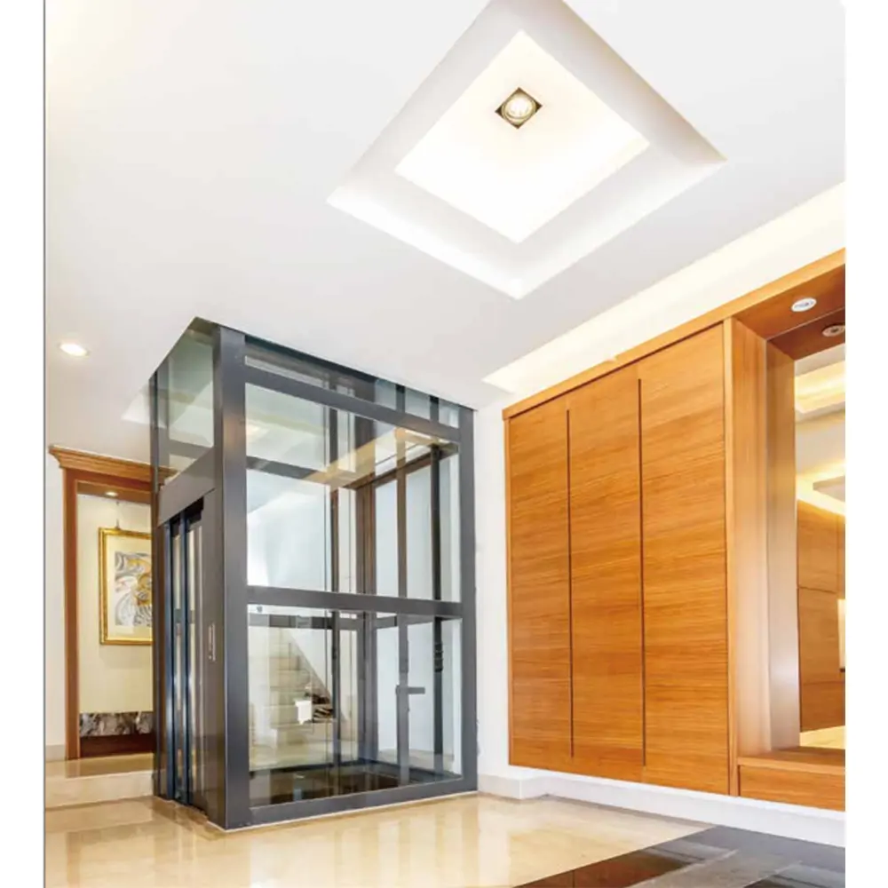 Piccolo ascensore asiatico Fuji di alta qualità e prezzo basso casa piccolo appartamento ascensore ascensore per passeggeri