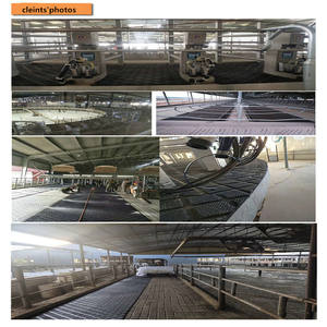 12 मिमी 17 मिमी गाय घोड़े का ट्रेलर रैंप स्टाल रबर गोट रोल शीट - Product Image 5