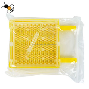 Set di strumenti per apicoltura all'ingrosso sistema di allevamento regina Jenter griglia e gabbia di protezione delle cellule - Product Image 4