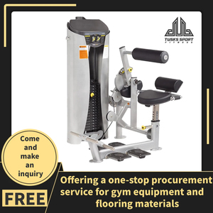 Máquina de gimnasio comercial de doble función con carga de placas para fitness, máquina selectora de ejercicios abdominales y extensión de espalda baja - Product Image 2