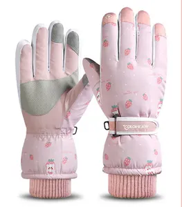 Fabrik günstigen Preis wasserdichte Ski handschuhe Wintersport handschuhe für Erwachsene
