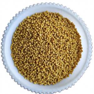 Suministro directo de fosfato de diamonio (DAP) 18-46-0 Fertilizante granular Fosfato de amonio soluble en agua para agricultura - Product Image 3