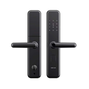 Serratura Intelligente Cloud in Lega di Zinco a Basso Prezzo con App Tuya/TTlock, Codice Biometrico e Impronta Digitale per Porte in Acciaio Inox - Product Image 4