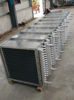 Radiateur échangeur de chaleur à vapeur en acier inoxydable 150-300°C, à tubes à ailettes, taille personnalisée PLC, pour machines biotechnologiques