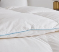 Couette en duvet de plumes d'oie 100% coton King Size 750 Fill Power Chaleur moyenne Insert de couette toutes saisons