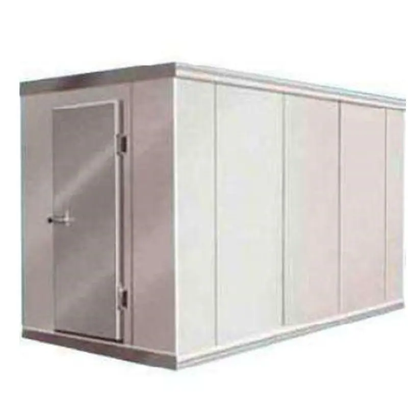Hot Sale Cold Room Container Walk In Cooling Container Customized Cooler Room For Meat And Vegetables