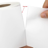 Rouleaux d'étiquettes thermiques pour adresses postales, imprimante 150 mm x 100 mm, étiquettes d'expédition 4x6