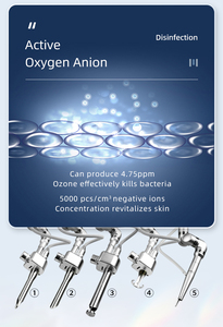 Equipo de Rejuvenecimiento de la Piel con Láser de CO2 Fraccional de 60 W para Eliminación de Cicatrices y Rejuvenecimiento de la Piel - Product Image 4