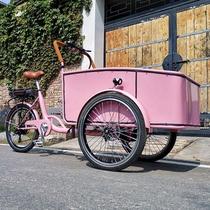 Camion électrique rose, <span class=keywords><strong>remorque</strong></span>, vélo cargo mobile en aluminium, tricycle adulte, vélo à <span class=keywords><strong>3</strong></span> <span class=keywords><strong>roues</strong></span>, chariot alimentaire à vendre, <span class=keywords><strong>scooter</strong></span> de mobilité pour enfants - Product Image 4