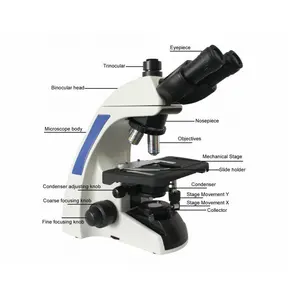 敏杰CM2000系列医用光电便携式双目生物显微镜带发光二极管灯