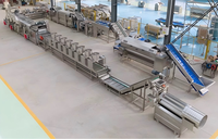 High-end volautomatische industriële lijn voor de verwerking van diepvries gemberfrietjes, 7200 kg/u, multifunctioneel voor fruit en groenten