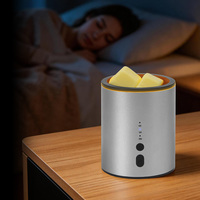 Lampe chauffe-bougie à intensité variable avec minuterie, chauffe-cire pour la décoration intérieure, cadeaux d'anniversaire pour femmes et mamans, avec pot