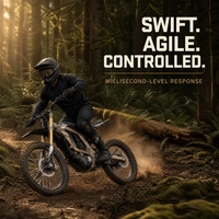Chine - Vente en gros - Moto électrique tout-terrain Golden Light Bee 2 2026 Surron - 24KW 45Ah
