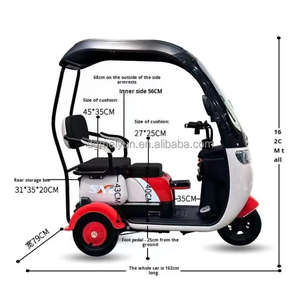 <span class=keywords><strong>Tricycle</strong></span> électrique avec auvent rideau de pluie Transport familial pour ramasser les enfants <span class=keywords><strong>Tricycle</strong></span> électrique à 3 roues adulte - Product Image 2
