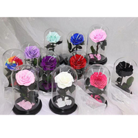 Dôme en verre rose éternelle cadeau Saint Valentin dôme rose préservé rose éternelle en dôme de verre