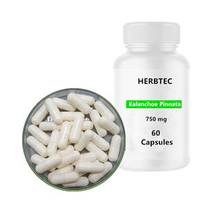 <span class=keywords><strong>Kalanchoe</strong></span> <span class=keywords><strong>Pinnata</strong></span> de marque privée OEM-Feuille de vie Lao Di Sheng Gen supplément 60 capsules - Product Image 1