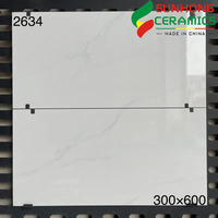 Carreaux Muraux Brillants Salle de Bain Cuisine 300x600, Carreaux Céramiques Gris Murs de Salle de Bain, Carreaux Muraux Intérieurs Blanc Pur