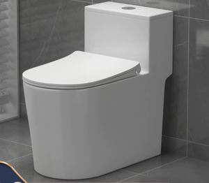 WC Sanitaire Domestique à Double Chasse d'Eau en Céramique à Faible Bruit avec Siphon en S pour Intérieur - Product Image 6