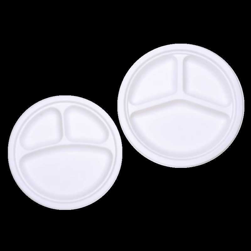 Disposable Compostable Biodegradable Custom Paper Plates & Bowls for Parties