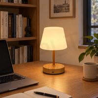Lampe de table LED tactile rechargeable de luxe en plastique, fabricant OEM ODM, personnalisation pour chambre, salon, salle à manger