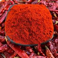 Fournisseur d'épices en gros : Épices naturelles très demandées – Piment rouge et poudre de paprika douce et séchée