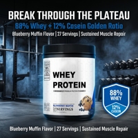 Bubuk Protein Campuran Whey & Casein Rasa Blueberry Muffin OEM/ODM untuk Pemulihan & Pertumbuhan Otot