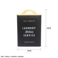 Récipient à détergent en métal Boîte de rangement moderne pour ferme Porte-détergent Conteneur à dosettes pour l'organisation et le stockage