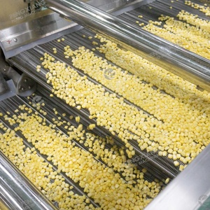 Machine industrielle de traitement du maïs frais, batteuse à maïs, machine de nettoyage, de blanchiment et de séchage à l'air, ligne de production de grains de maïs doux - Product Image 3