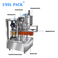 Machine de remplissage et de bouchage automatique de sachets à bec verseur RI-2A avec trémie de mélange en acier inoxydable pour boissons et sachets souples