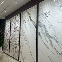 Dalles de pierre frittée imperméables à texture de pierre de luxe 1600*3200mm pour la décoration murale extérieure haut de gamme des KTV, bars et clubs