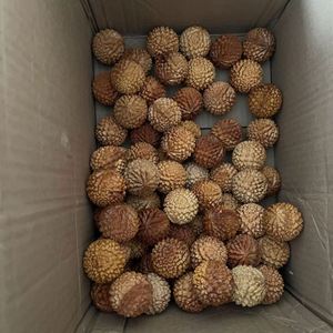 ลูกบอลนวดไม้ไซเปรสธรรมชาติสำหรับบริหารมือ ขายส่ง - Product Image 6