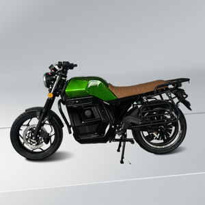 Vélo de course électrique robuste longue distance 80-145 km 72V pour adultes Explorations hors route Livraison de marchandises Voyages dans la nature - Product Image 1